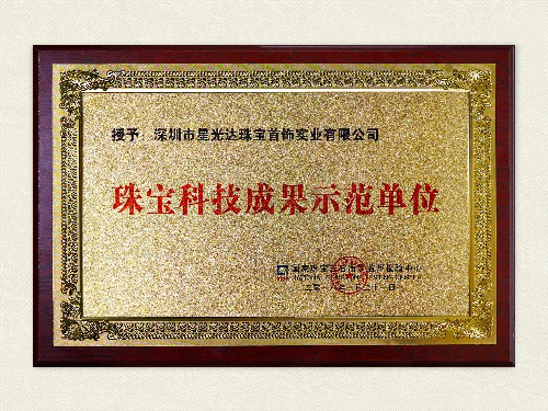 珠宝科技成果示范单位