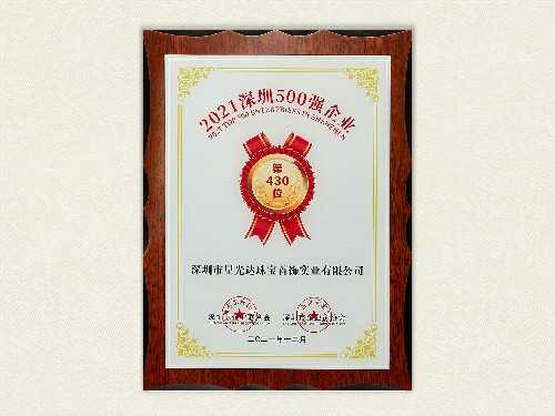 2021年深圳市500强